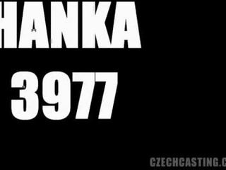 České kásting hanka (3977)