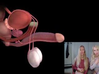 Male Orgasm Anatomy Explained Educational JOI: Free sex clip 85