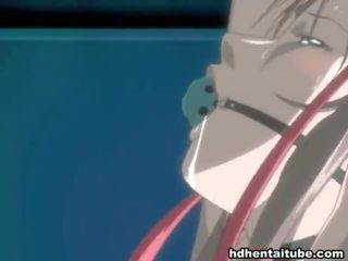 Mengen van clips door hentai niches